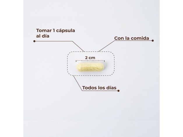 Kobho Trans Resveratrol+Quercetina 60 Cápsulas
