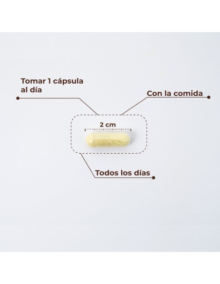 Kobho Trans Resveratrol+Quercetina 60 Cápsulas