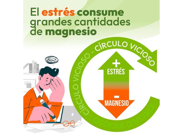 Niam Animafort Cronomag 60 Cápsulas Vegetales