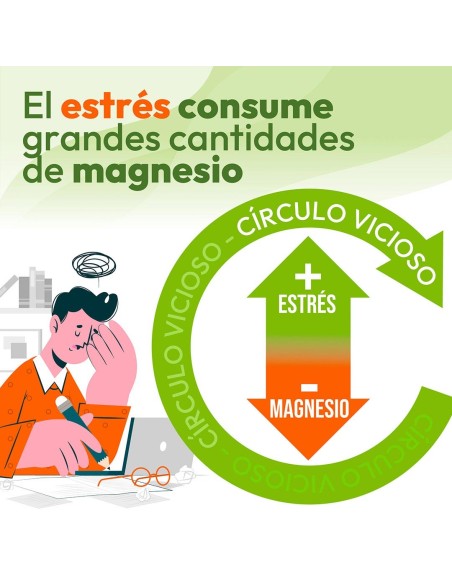 Niam Animafort Cronomag 60 Cápsulas Vegetales