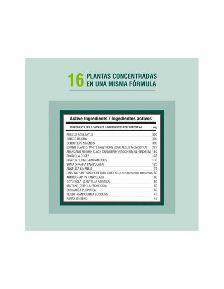 Adaptoheal Circuheal 90 Cápsulas