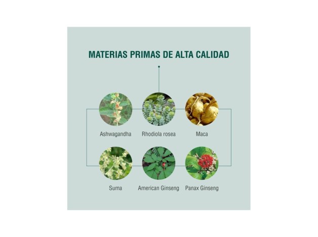 Adaptoheal Energyheal 90 Cápsulas