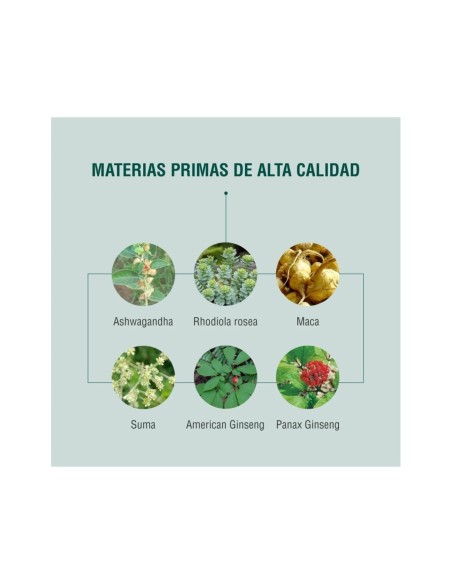 Adaptoheal Energyheal 90 Cápsulas