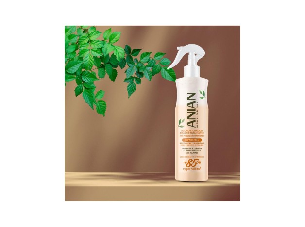 Anian Bifásico Acondicionador Reparación 400Ml