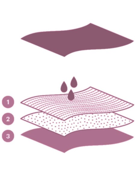 Cumlaude Lab Bragas Menstruales Absorción Media-Alta L 1 U