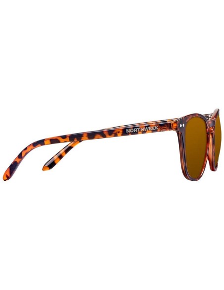 Northweek Wall Tortoise Polarized 1Ud