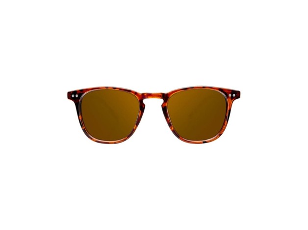 Northweek Wall Tortoise Polarized 1Ud