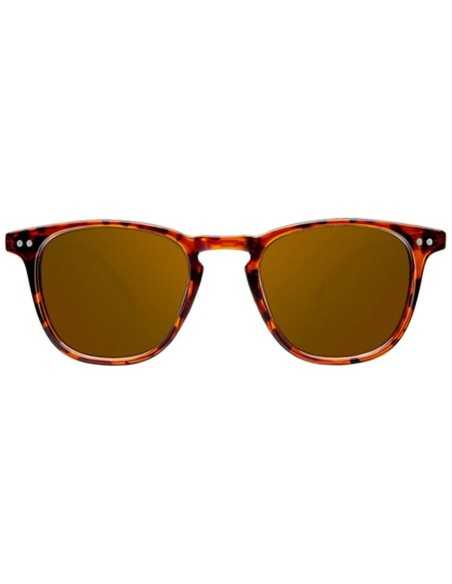Northweek Wall Tortoise Polarized 1Ud