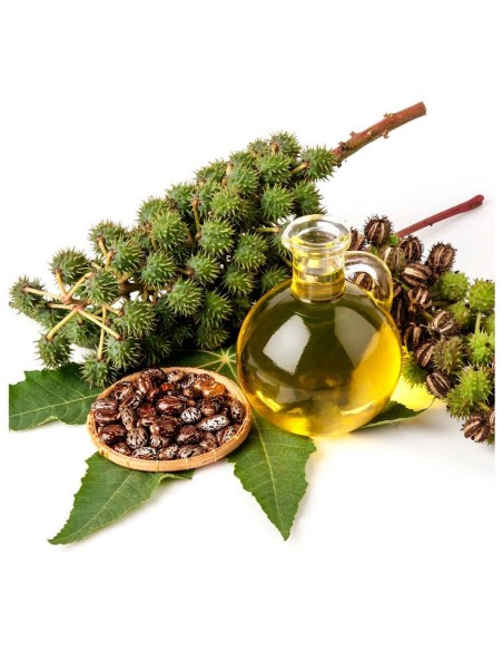 Biovene Castor Oil Hair Skin %26 Body Nourishment 30Ml