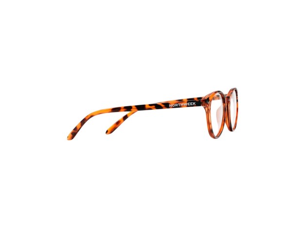 Northweek Gafas De Lectura Hayes Tortoise 1Ud