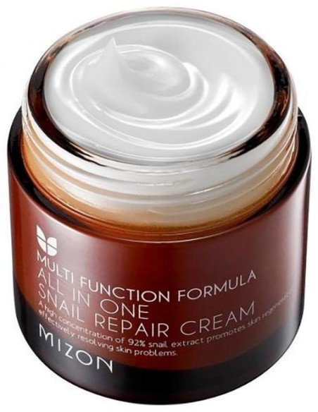 Mizon All In One Snail Repair Cream 75Ml