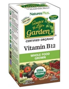 Garden Source Of Life...