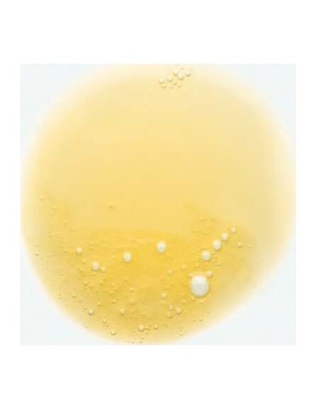 Al Mango Champú Nutritivo Para Cabello Seco Duo 2 X 400 Ml