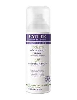 Desodorante Brume Active...