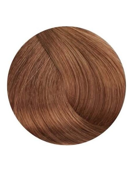 Loreal Majirel 6 50 Ml