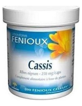 Fenioux Grosellero Negro...