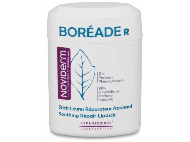 Boréade R Stick Reparador, 11 Ml