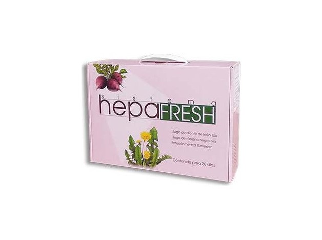 Hepa Fresh Sistema Pack Schoenenberger
