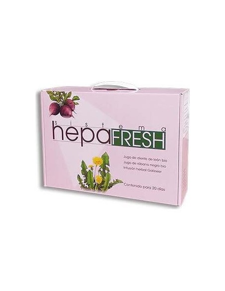 Hepa Fresh Sistema Pack Schoenenberger
