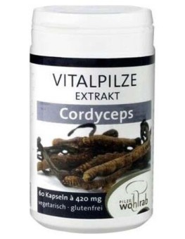 Pilze Wolhrab Cordyceps 60Caps
