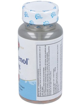 Solaray Pycnogenol Cáps 50Mg