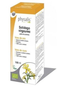 Physalis Solidago Virgaurea...