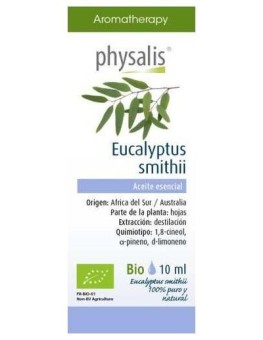 Physalis Eucalyptus Smithii...