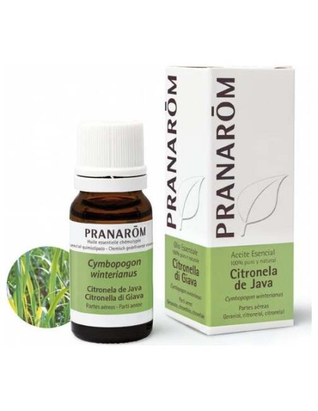 Pranarôm Aceite Esencial De Citronela De Java 10Ml