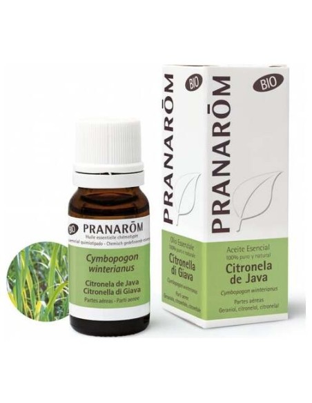 Citronela De Java Aceite Esencial Bio 10Ml.
