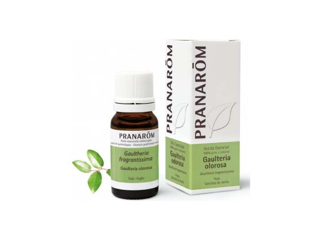 Gaulteria Olorosa Hoja Aceite Esencial Bio 10Ml.
