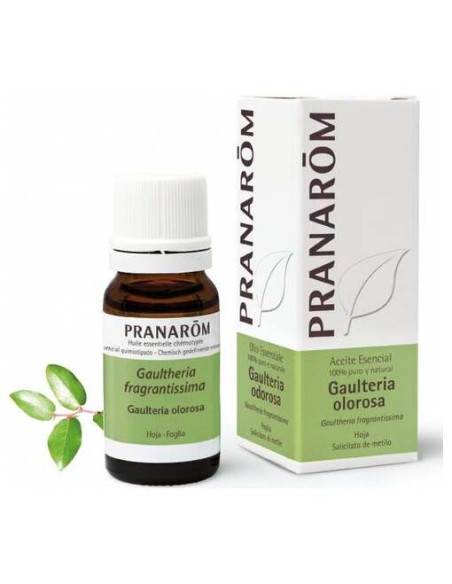 Gaulteria Olorosa Hoja Aceite Esencial Bio 10Ml.