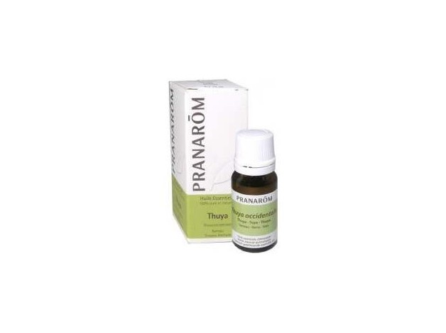 Thuya Occidentalis Aceite Esencial 10Ml.