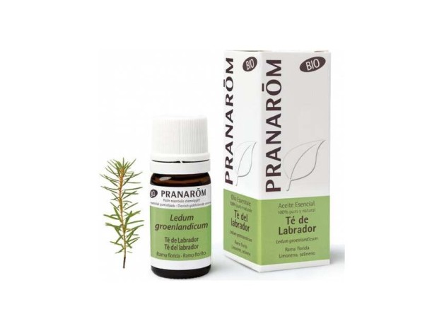 Pranarôm Bio Aceite Esencial De Té De Labrador 5Ml