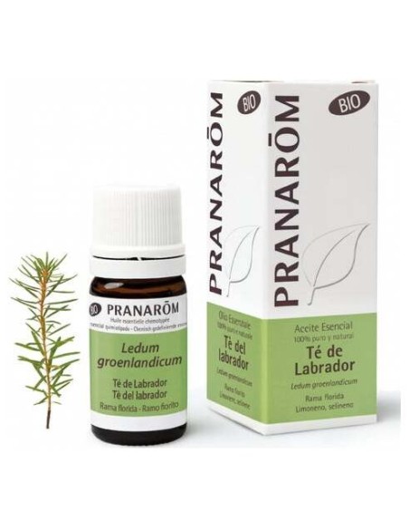 Pranarôm Bio Aceite Esencial De Té De Labrador 5Ml