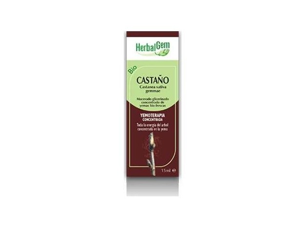 Castaño Macerado Glicerinado 50Ml.