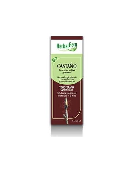 Castaño Macerado Glicerinado 50Ml.
