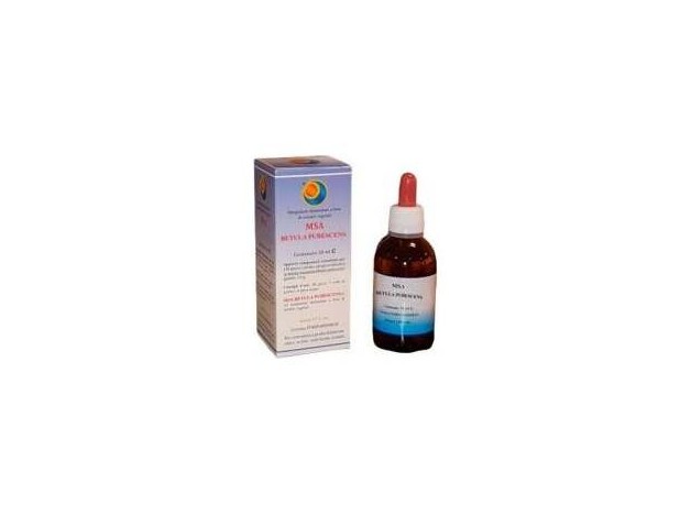 Herboplanet Msa Betula Pubencens 50Ml