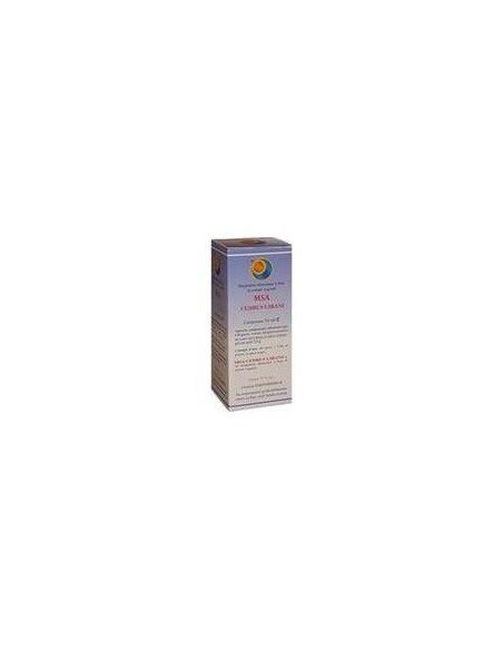 Herboplanet Msa Cedrus Libani Gemas 50Ml