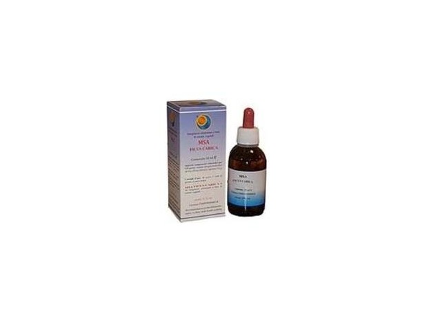 Herboplanet Msa Ficus Carica Gemas 50Ml