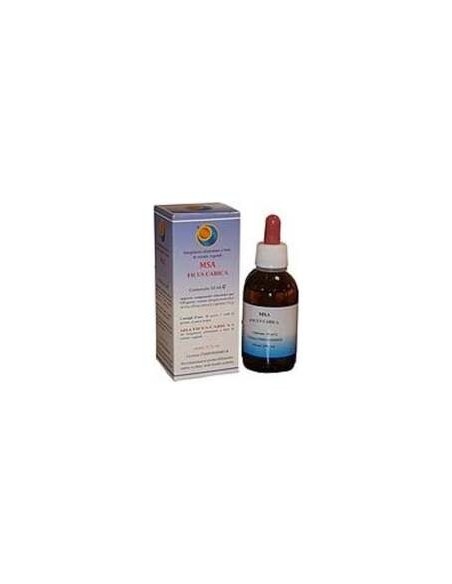 Herboplanet Msa Ficus Carica Gemas 50Ml