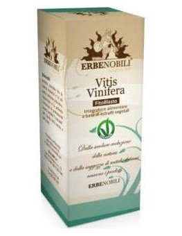 Uva Vitis Vinifera Yema...