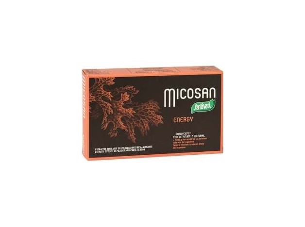 Micosan Energy 40Cap.