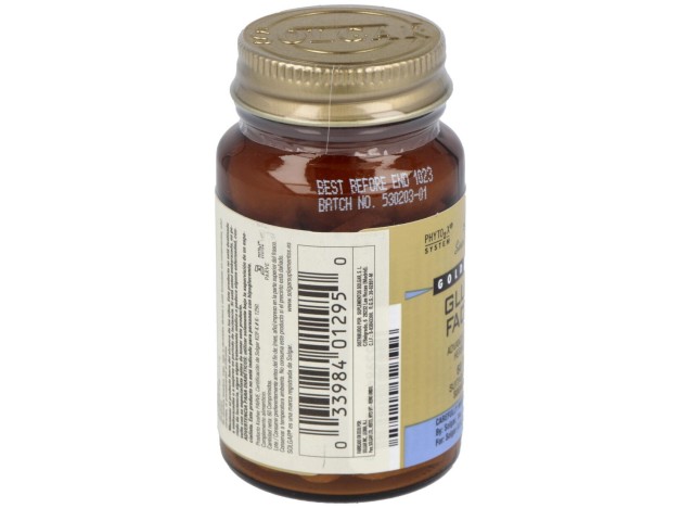 Gs Glucose Factors 60Comp.