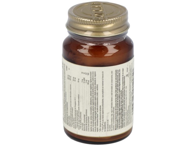 Gs Glucose Factors 60Comp.
