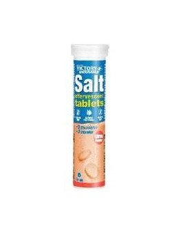 Victory Endurance Salt...