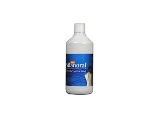 Mca Productos Naturales Silanoral Basic 1L