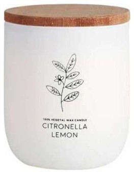 Cerabella Vela Vaso Blanco...