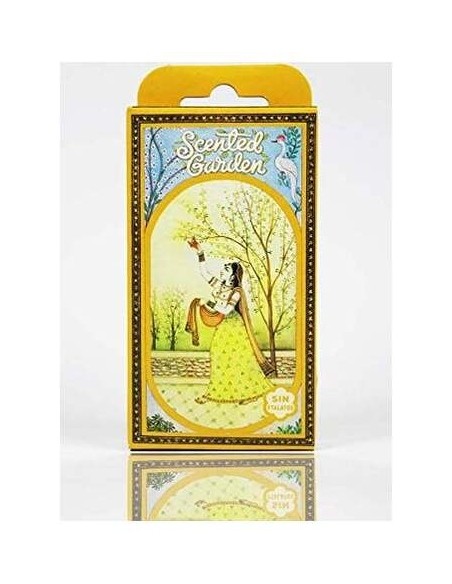 Radhe Shyam Magnolia Cono Incienso Scented Garden 12Uds