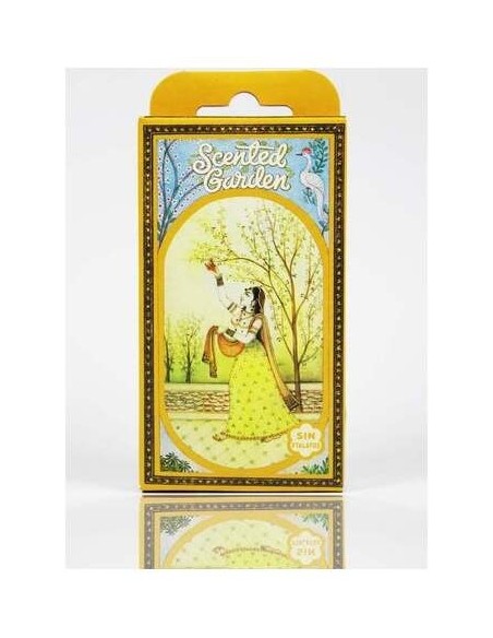 Radhe Shyam Incienso Scented Garden Rosa Cono 12Uds