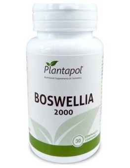 Plantapol Boswelia 2000 30Comp